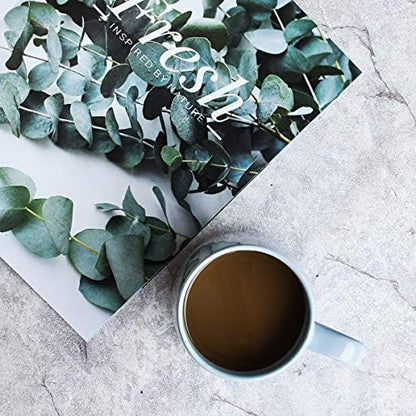 Bosmarlin Large Glossy Ceramic Coffee Mug, Tea Cup for Office and