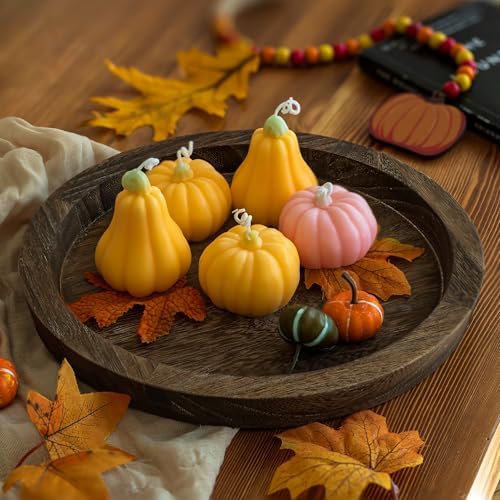 Hanobe Wooden Tray for Coffee Table, Decorative Round Candle Holder