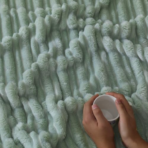 Puncuntex Sage Green Soft Throw Blanket 50"×60" for Couch Cozy 3D