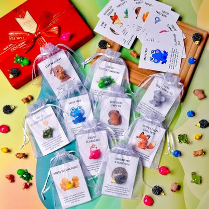 50 Sets Employee Appreciation Gifts Bulk for Coworkers Team Staff