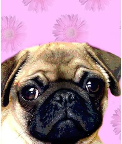 CafePress Pug Throw Blanket Soft Fleece Plush Throw Blanket