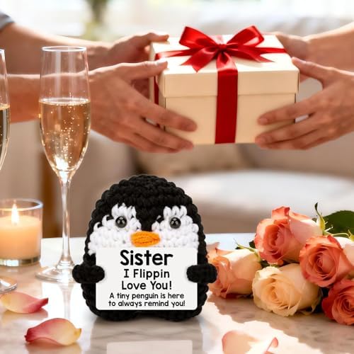 Sisters Gifts from Sister Brother Funny Handmade Crochet Penguin with