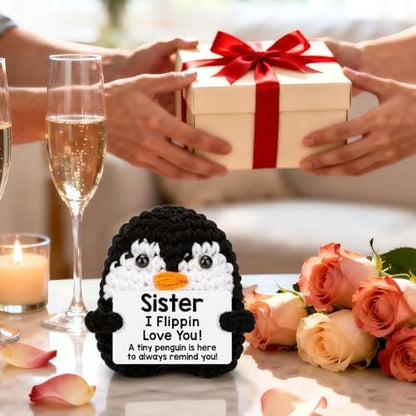 Sisters Gifts from Sister Brother Funny Handmade Crochet Penguin with