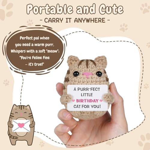 Birthday Gifts for Women Men, Crochet Cat Plush Decor, Handmade