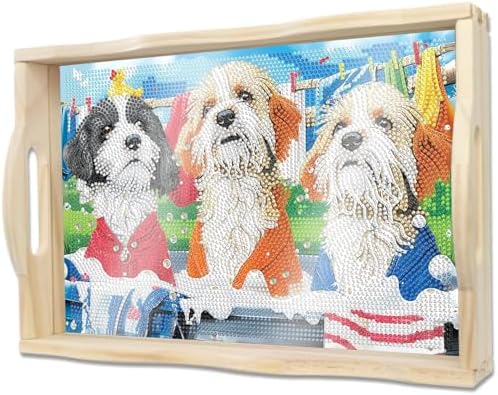 DOTSOPS DIY Diamond Painting Serving Tray with Handle for Adults 5D
