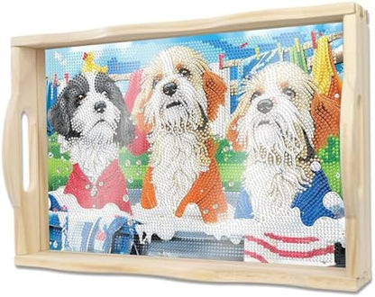 DOTSOPS DIY Diamond Painting Serving Tray with Handle for Adults 5D