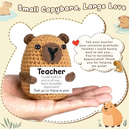 Teacher Gifts for Men Women, Halloween Capybara Teacher Gifts from
