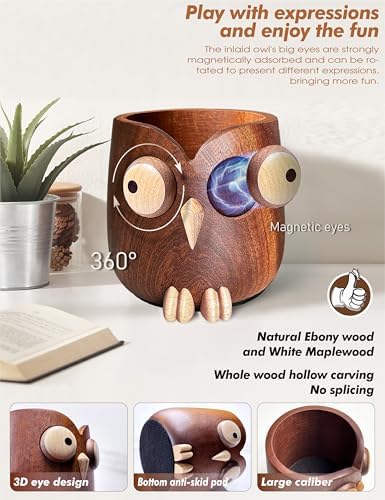 Solid Wood Owl Pen Holder for Desk with Adjustable Expressions, Funny