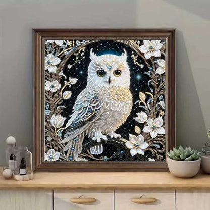 Owl Special Shape Diamond Painting Kits for Adults DIY crafts 12 x