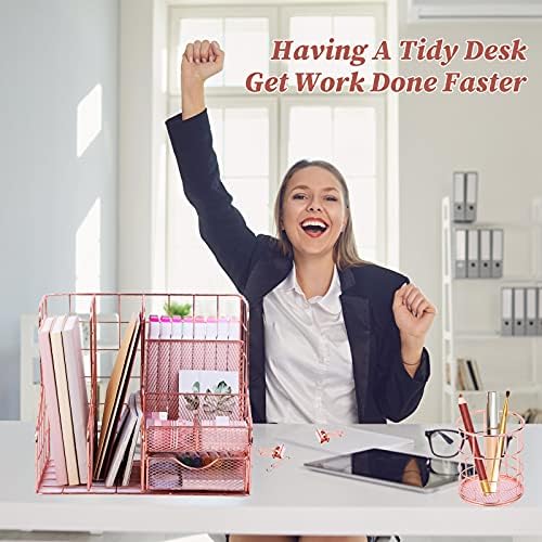 TNELTUEB Rose Gold Desk Organizer with 6 Compartments, Mesh Metal Home