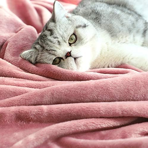 TASTHROW Large Flannel Fleece Throw Blanket, 50×70 Inch