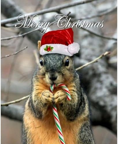 CafePress Christmas Squirrel Ceramic Mug 11 oz (325 ml) Ceramic Coffee