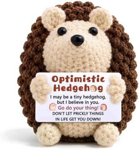 Mini Cute Hedgehog Gifts, Best Friend Friendship Gifts for Women Men