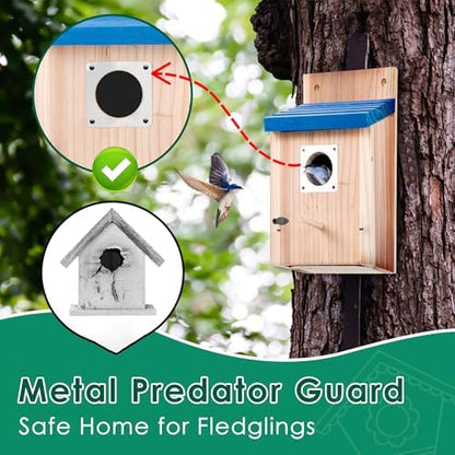 Dreyoo 2 Pack Bluebird House for Outside, Blue Roof, Wood