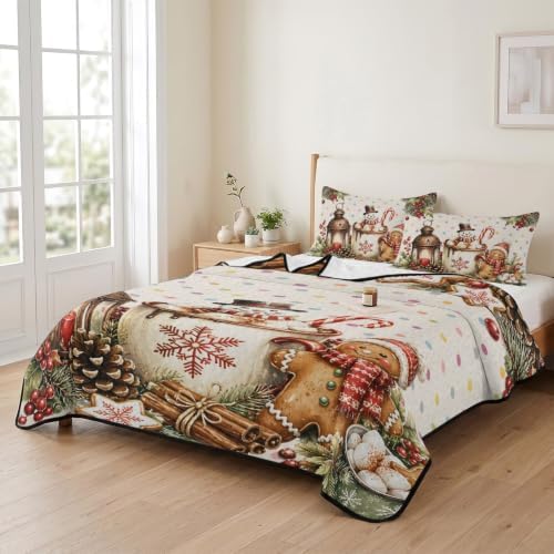 Christmas Quilt Set Twin Size 3 Pieces Quilted Bedspread Soft