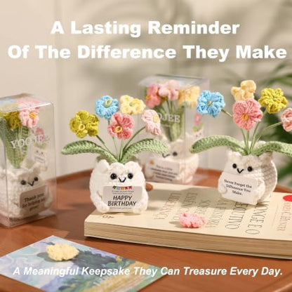 Forget-Me-Not Crochet Flower Potted Plant Gift