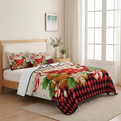 Merry Christmas Quilt Set Twin Size 3 Pieces Quilted Bedspread Soft