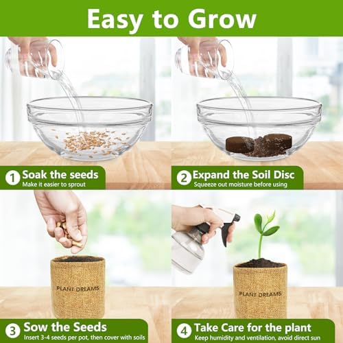 Bonsai Tree Kit, Bonsai Starter Kit with Seeds & Tools, Tree Live