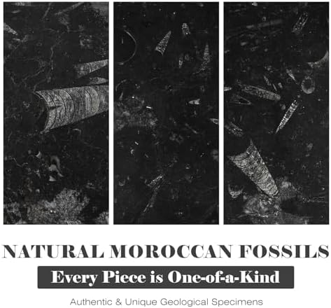 Natural Moroccan Fossil Stone Tray - Black Marble Decorative Serving