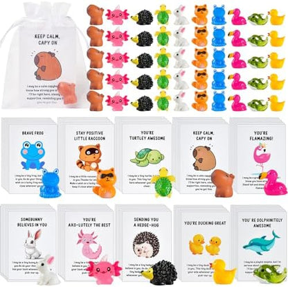 60 Set Employee Appreciation Gifts Bulk for Coworkers Team Staff Thank