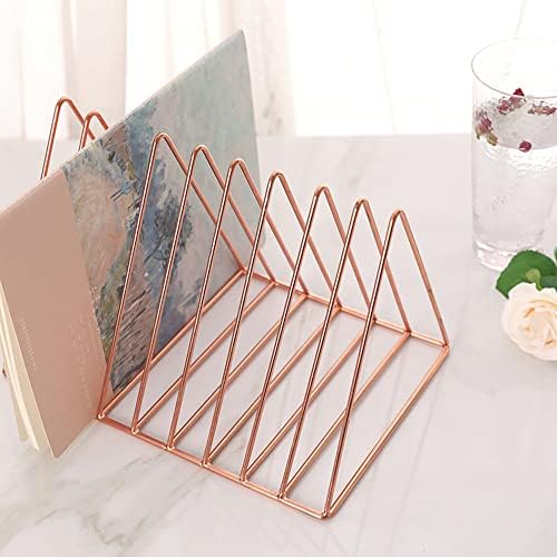 Sooyee 9 Slot Metal Record Holder Storage, Rose Gold