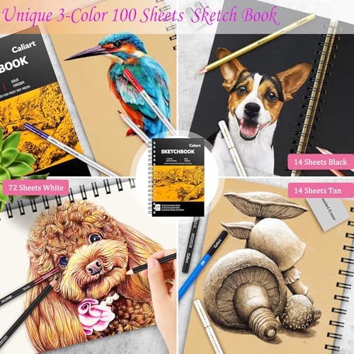 Caliart 176PCS Art Supplies Sketching Kit, 100 Sheets 3-Color Sketch
