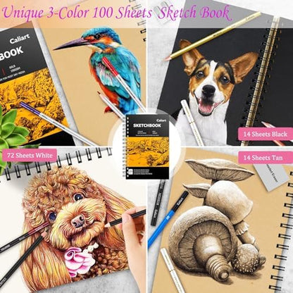 Caliart 176PCS Art Supplies Sketching Kit, 100 Sheets 3-Color Sketch