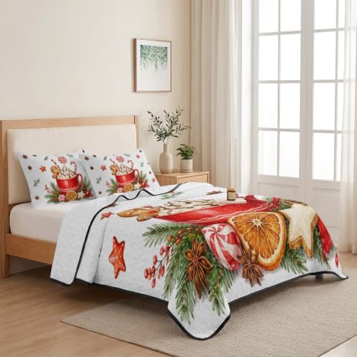 Christmas Quilt Set Twin Size 3 Pieces Quilted Bedspread Soft