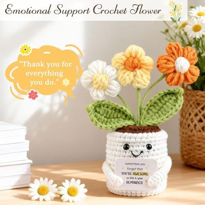 Giftota Daisy Thank You Gifts for Women, Appreciation Care Package