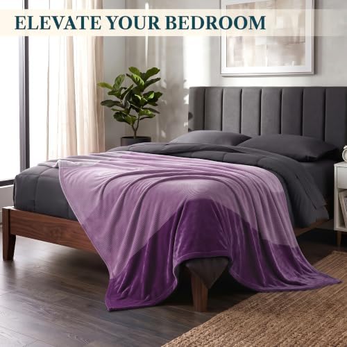 PAVILIA Purple Ombre Fleece Throw Blanket for Couch Sofa Bed, 50x60