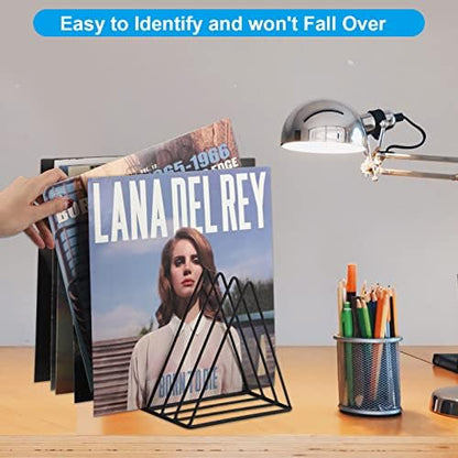 EASEPRES Vinyl Record Holder Storage, 9 Slot Metal Magazine Book Album