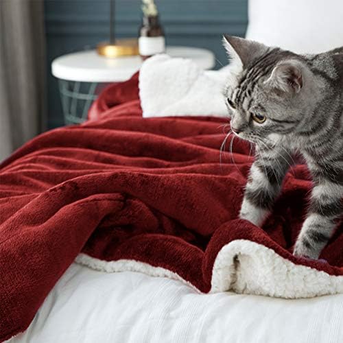 LBRO2M Sherpa Fleece Bed Blanket Super Soft Plush Warm Throw Twin