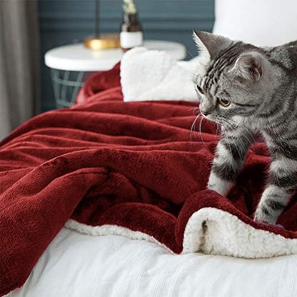 LBRO2M Sherpa Fleece Bed Blanket Super Soft Plush Warm Throw Twin