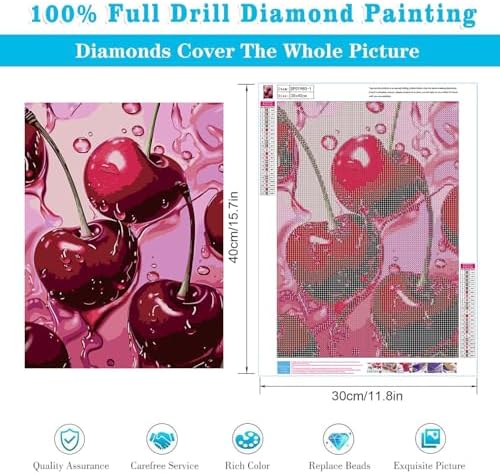 AIBOERL 2 Pack Diamond Art Kits for Adults,Retro Cherry Diamond