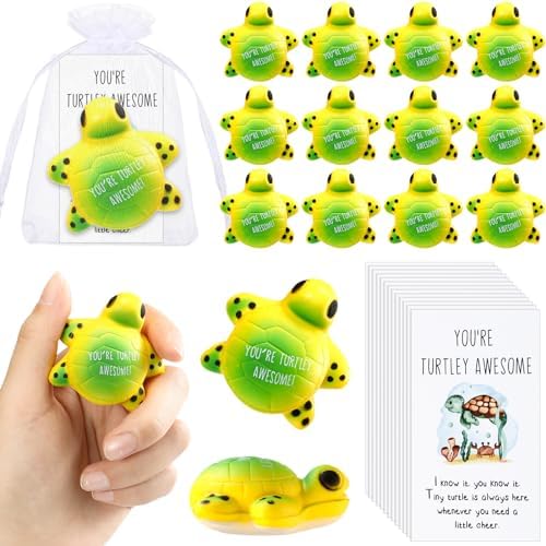 Libima 20 Pcs Emotional Turtle Balls Bulk with Motivational Cards