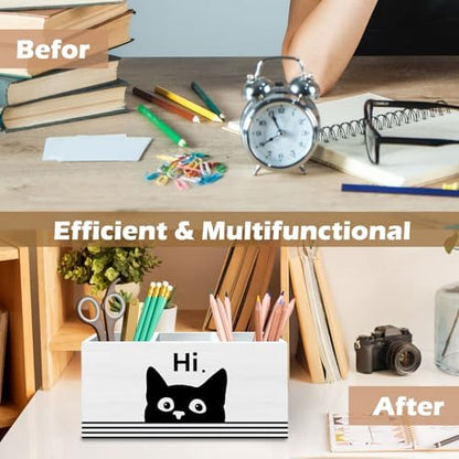 DILSJ Funny Black Cat Pen Pencil Holder Organizer for Desk, Black Cat