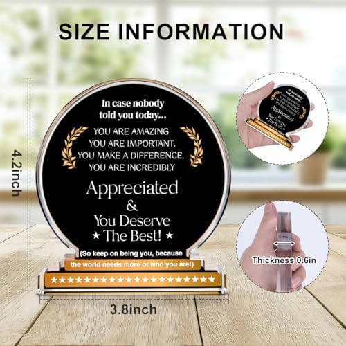 Employee Appreciation Gifts Inspirational Thank You Gift Motivational