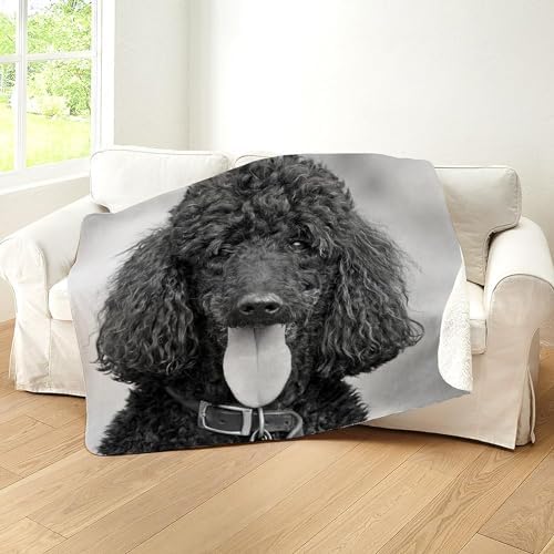 CafePress Black Poodle Sherpa Fleece Throw Blanket 60" L x 50" W