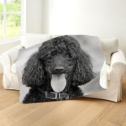 CafePress Black Poodle Sherpa Fleece Throw Blanket 60" L x 50" W