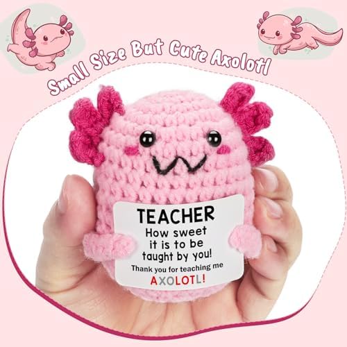 Teacher Appreciation Gifts for Women Teachers, Handmade Crochet