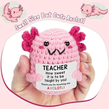 Teacher Appreciation Gifts for Women Teachers, Handmade Crochet