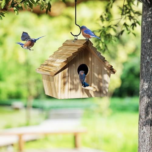 Auslar Bird Houses for Outside, Hanging Wooden Bluebird House for