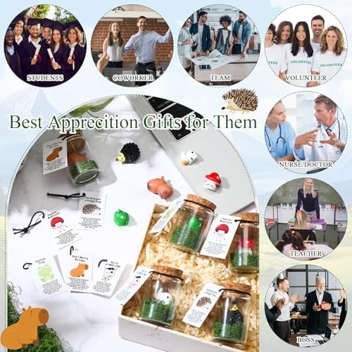 Fumete 35 Set Employee Appreciation Gifts Bulk Mini Animal, Farm