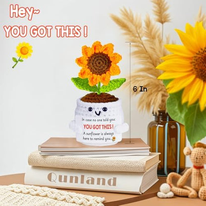 Get Well Gifts for Women Men, Inspirational Positive Sunflower