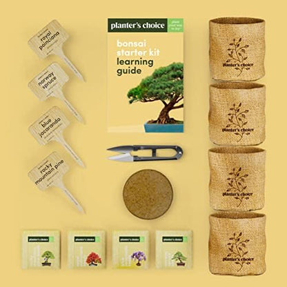 Bonsai Tree Kit for Beginners & Plant Lovers - Grow Your Own Bonsai