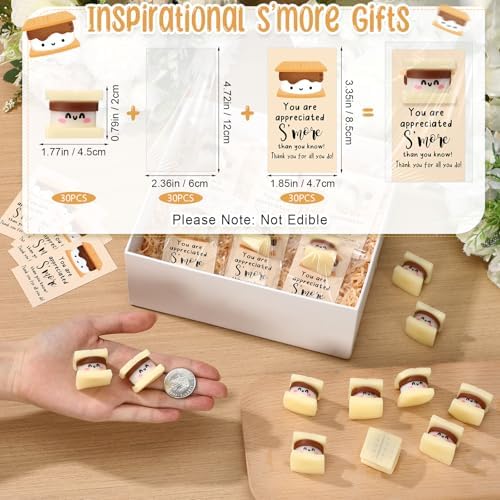 Wettarn 90 Sets Emotional Luminous Smore Toys Positive Gift