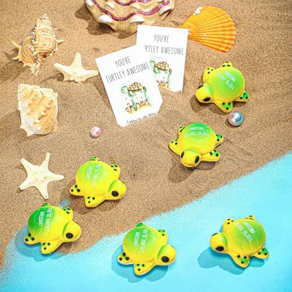 Libima 20 Pcs Emotional Turtle Balls Bulk with Motivational Cards
