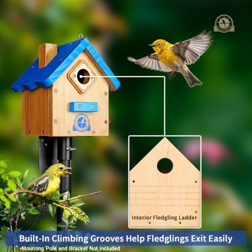 SISTERBIRD Birdhouses for Outdoors, Blue Hanging Wren House, Warming