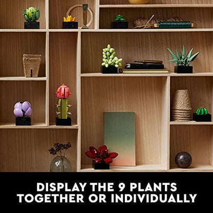 LEGO Botanicals Succulents 10309