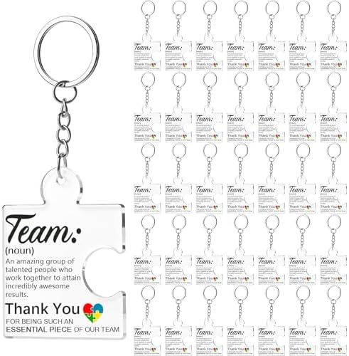 VZZNN 36 Pack Employee Appreciation Gifts Bulk Team Gifts for